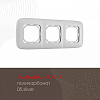 Рамка на 3 поста Arte Milano am-505.05 505.05-3.silver 100_100_2181876