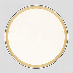 Накладной светильник Citilux BOSS CL751451G 250_100_3148885