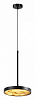 Подвесной светильник Odeon Light Bergi 5064/15L 100_100_1729220