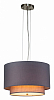 Подвесной светильник Indigo Nebbia 13020/1P Nickel 100_100_1970520