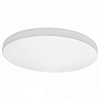 Накладной светильник Lightstar Arco 225204 100_100_2448040