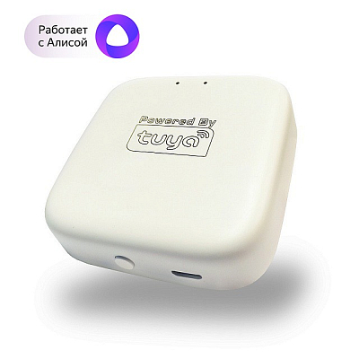 Конвертер Wi-Fi для смартфонов и планшетов Denkirs Smart DK7400-WF 400_400_2146982