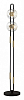 Торшер Odeon Light Magnet 5407/23FL 100_100_1727807