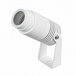 Настенно-потолочный прожектор Arlight RAY 042676(1) 250_100_Array