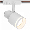 Светильник на штанге Citilux Bruno CL565T10 100_100_3147899