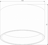 Накладной светильник Elektrostandard Banti a063929 250_100_3150170