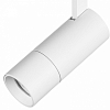 Светильник на штанге Lightstar Volta 229146 100_100_1715338