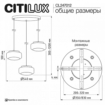 Подвесной светильник Citilux SIGNATURE CL247012 400_400_2820091