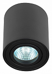 Накладной светильник Эра OL21 BK Б0054393 250_100_Array