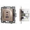 Механизм розетки 2хUSB type A и C Arlight SCT 049841 100_100_681361