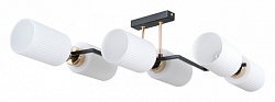 Потолочная люстра ILLUMICO NAPLES IL0809-6ASQ-25 BK AB NAPLES 250_100_Array
