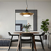 Подвесной светильник Imperiumloft Rask RASK01 100_100_1975534