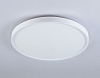 Накладной светильник Ambrella Light FZ FZ3001 100_100_2023974