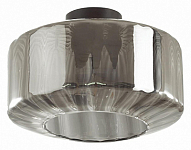 Накладной светильник Odeon Light Binga 4746/1C 250_100_Array