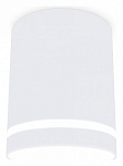 Накладной светильник Ambrella Light TN TN3202 250_100_2013646