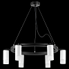 Подвесная люстра Lightstar Rullo LR0163661 100_100_1718115