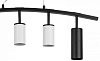 Подвесной светильник Lightstar Rullo LR735872363 100_100_1716829