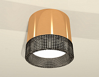 Накладной светильник Ambrella Light XS XS8121021 250_100_2012834