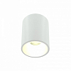 Накладной светильник LIGHTERA Shamrock LE200CL-1W 100_100_2049177