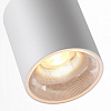 Накладной светильник Odeon Light HIGHTECH 7139/12CL 100_100_1391913