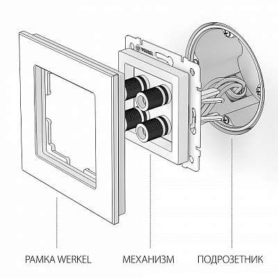 Розетка акустическая без рамки Werkel шампань рифленый W1185010 400_400_1881955