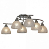 Люстра потолочная Lussole LSF-1603-06 100_100_2421551