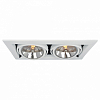 Встраиваемый светильник Arte Lamp Cardani A5935PL-2WH 100_100_3100828