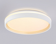 Накладной светильник Ambrella Light FZ FZ607 250_100_2181234