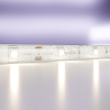 Светодиодная лента Led Strip 10164 100_100_2191211