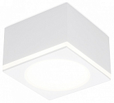 Накладной светильник Ambrella Light TN TN266 250_100_2006743