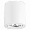 Накладной светильник Ambrella Light TN TN22701 100_100_2442303
