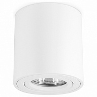 Накладной светильник Ambrella Light TN TN22701 500_191_2442303