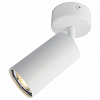 Спот Arte Lamp Aquarius A3216PL-1WH 100_100_1821368