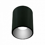 Накладной светильник LIGHTERA Shamrock LE201CL-1BB 250_100_2049184