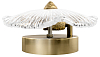 Накладной светильник Loft it Bloom 10352W/A AB 100_100_2630829