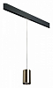 Подвесной светильник Lightstar Rullo PRORP431 100_100_2460353