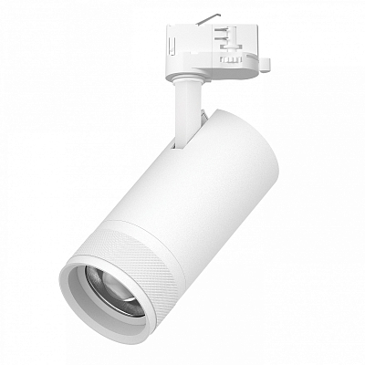 Светильник на штанге Lightstar Canno Pro C4306QT 400_400_3075998