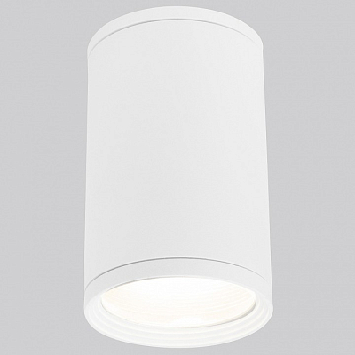 Накладной светильник Elektrostandard Light a056333 400_400_2445979