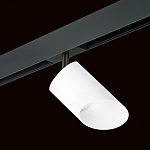 Светильник на штанге Lightstar Rullo PRO348686 250_100_1717860