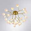 Потолочная люстра Arte Lamp Candy A7274PL-27GO 100_100_1823319