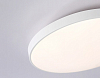 Накладной светильник Ambrella Light FZ FZ1220 100_100_2020001