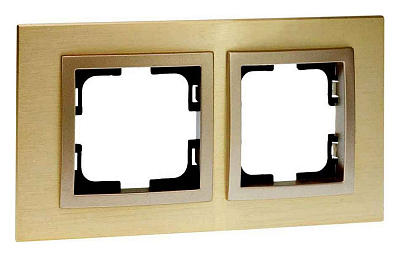 Рамка на 2 поста Mono Electric Style Aluminium 107-830000-161 400_400_2162826