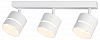Спот Ambrella Light TN TN71062 100_100_2288232