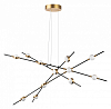Подвесная люстра Lightstar Bergamo 745247 100_100_1714295