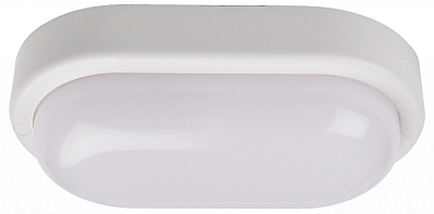 Накладной светильник Jazzway  PBH-PC2-OA 12W 4000K WHITE IP65 400_400_3239167