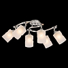 Потолочная люстра Citilux Сиерра CL119260 100_100_1687756