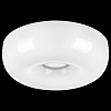 Накладной светильник Lightstar Celesta 809316 100_100_3155786