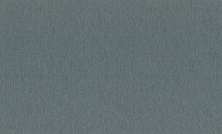 978452 Обои Rasch (1*6) 10,05x1,06 винил на флизелине 500_191_2324187