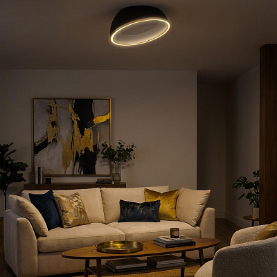 Накладной светильник Citilux FLOOM CL736151 400_400_3092658