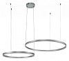 Подвесной светильник Indigo Galass 14001/2P Silver 100_100_2459062
